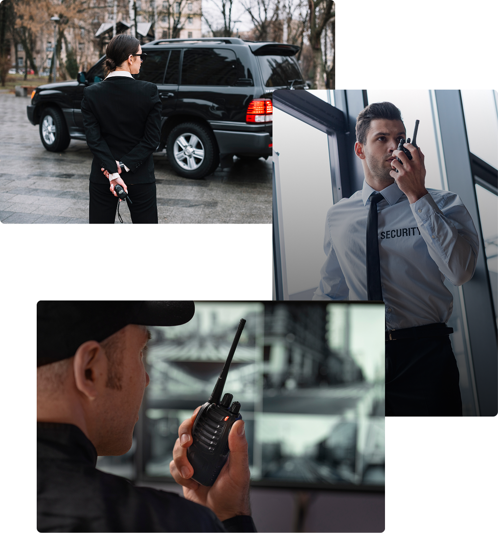 Project showcase image